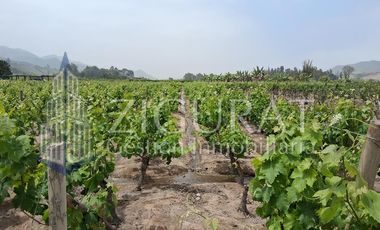Terreno en AZPITIA