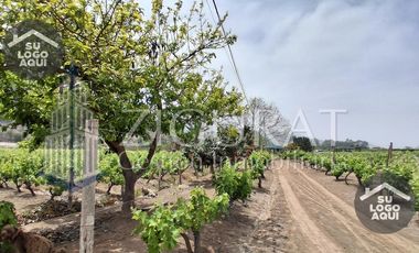 Terreno en AZPITIA