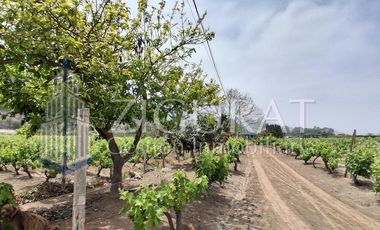 Terreno en AZPITIA