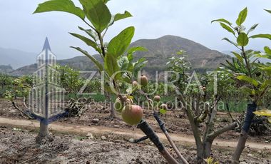 Terreno en AZPITIA