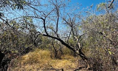 OPORTUNIDAD EN LA ZONA CON MAYOR PLUSVALÍA -  VENTA TERRENO EN TEPOZTLAN MORELOS