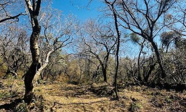 OPORTUNIDAD EN LA ZONA CON MAYOR PLUSVALÍA -  VENTA TERRENO EN TEPOZTLAN MORELOS