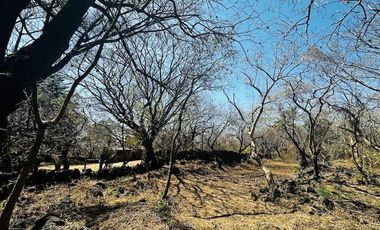 OPORTUNIDAD EN LA ZONA CON MAYOR PLUSVALÍA -  VENTA TERRENO EN TEPOZTLAN MORELOS