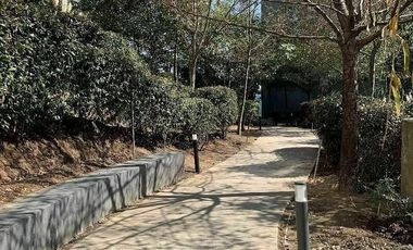 Departamento Garden Renta Citta San Jerónimo Torres de Potrero Álvaro Obregón