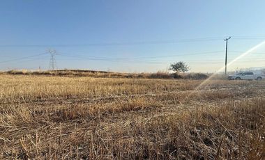 TERRENO EN VENTA EN ZAPOTLANEJO