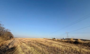 TERRENO EN VENTA EN ZAPOTLANEJO