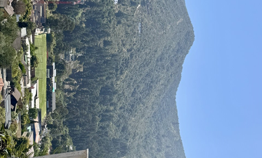 PAPUDO