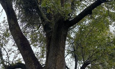 Casa en venta en Ajusco, Santo Tomás