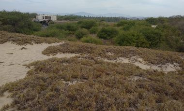 TERRENOS EN VENTA A ORILLA DEL MAR EN COLIMILLAS