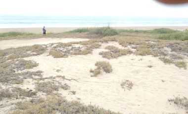 TERRENOS EN VENTA A ORILLA DEL MAR EN COLIMILLAS