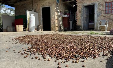 Casa en Anolaima (Cundinamarca) RAH CO: 26-66