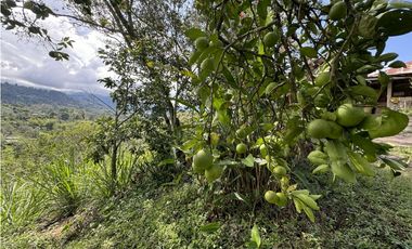 Casa en Anolaima (Cundinamarca) RAH CO: 26-66