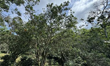 Casa en Anolaima (Cundinamarca) RAH CO: 26-66