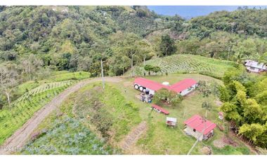 Casa en Quipile (Cundinamarca) RAH CO: 26-69