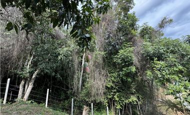 Casa en Anapoima (Cundinamarca) RAH CO: 26-78
