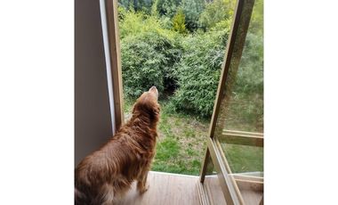 Casa en Sesquile (Cundinamarca) RAH CO: 26-368