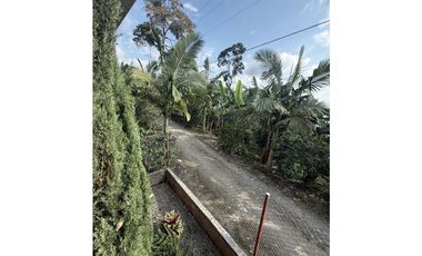 CASA CAMPESTRE CON CULTIVO EN QUIMBAYA