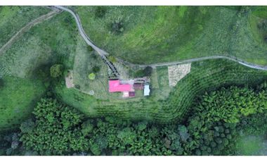 FINCA PRODUCTIVA SEMBRADA EN LIMÓN Y PLTANO EN QUIMBAYA