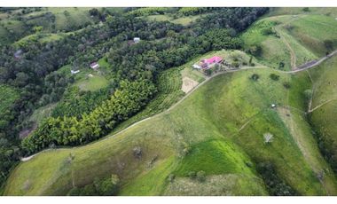 FINCA PRODUCTIVA SEMBRADA EN LIMÓN Y PLTANO EN QUIMBAYA