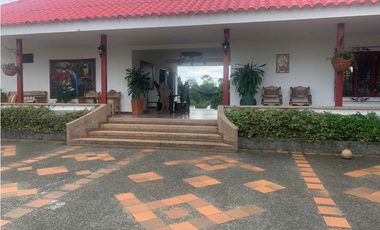FINCA PRODUCTIVA SEMBRADA EN LIMÓN Y PLTANO EN QUIMBAYA