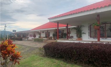 FINCA PRODUCTIVA SEMBRADA EN LIMÓN Y PLTANO EN QUIMBAYA