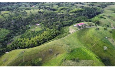 FINCA PRODUCTIVA SEMBRADA EN LIMÓN Y PLTANO EN QUIMBAYA