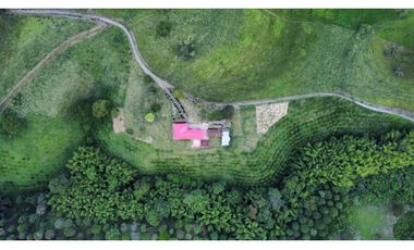 FINCA PRODUCTIVA SEMBRADA EN LIMÓN Y PLTANO EN QUIMBAYA