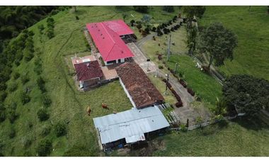 FINCA PRODUCTIVA SEMBRADA EN LIMÓN Y PLTANO EN QUIMBAYA