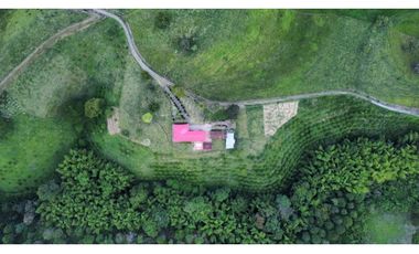 FINCA PRODUCTIVA SEMBRADA EN LIMÓN Y PLTANO EN QUIMBAYA