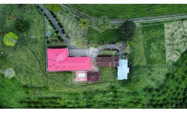 FINCA PRODUCTIVA SEMBRADA EN LIMÓN Y PLTANO EN QUIMBAYA