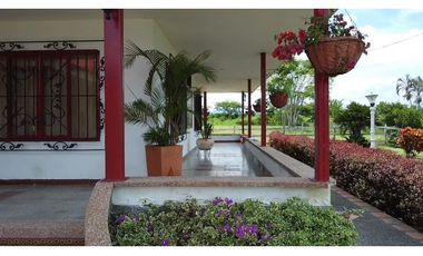 FINCA PRODUCTIVA SEMBRADA EN LIMÓN Y PLTANO EN QUIMBAYA