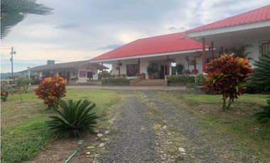 FINCA PRODUCTIVA SEMBRADA EN LIMÓN Y PLTANO EN QUIMBAYA