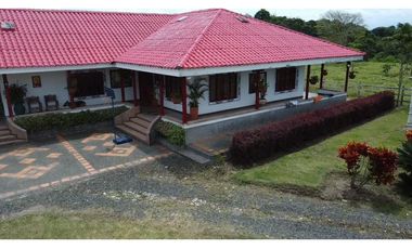 FINCA PRODUCTIVA SEMBRADA EN LIMÓN Y PLTANO EN QUIMBAYA