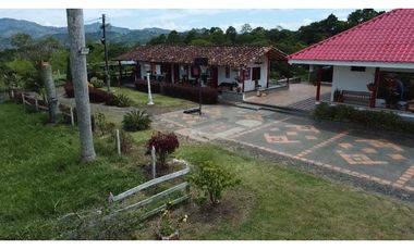 FINCA PRODUCTIVA SEMBRADA EN LIMÓN Y PLTANO EN QUIMBAYA