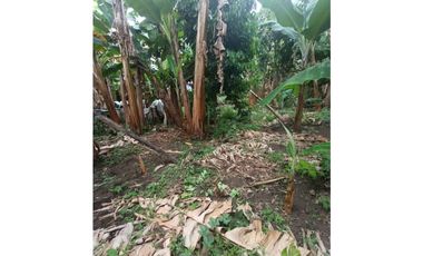 Casa campestre independiente para la venta en Combia, Pereira!!!