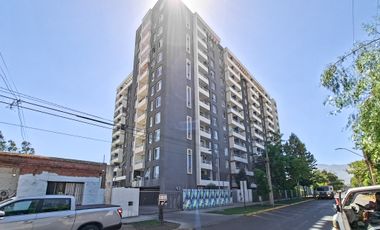 Alcalde Pedro Alarcó [1321-3]