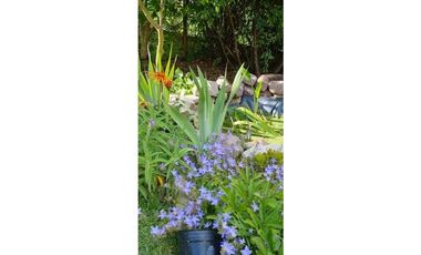 CHALET EN SIERRA DE LOS PADRES CON GRAN PARQUE