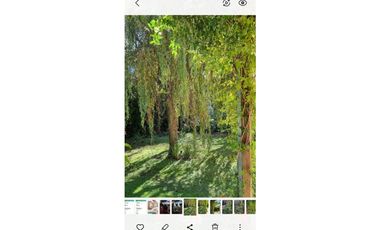 CHALET EN SIERRA DE LOS PADRES CON GRAN PARQUE