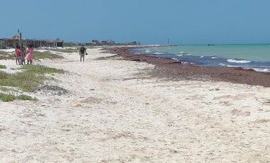 Casa en Venta en las Playa de Sisal Yucatán.