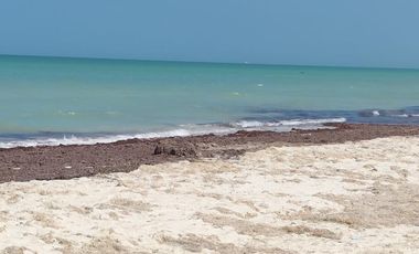 Casa en Venta en las Playa de Sisal Yucatán.