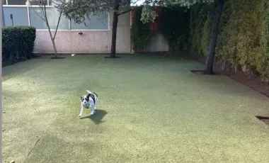 Departamento en renta en Santa Fe Cuajimalpa, Cuajimalpa de Morelos, Ciudad de México