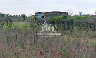Campo Forestal En Venta
