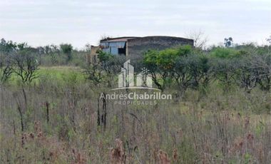 Campo Forestal En Venta