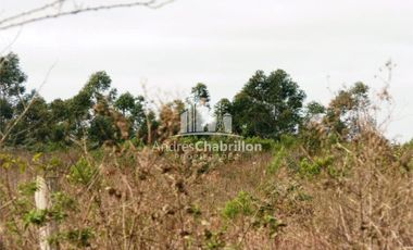 Campo Forestal En Venta