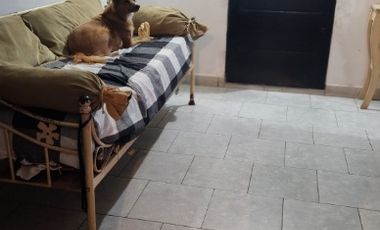 Departamento Tipo Casa en alquiler en Lanus Este