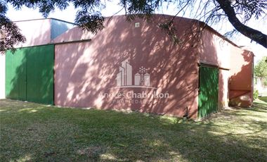 Forestación Eucaliptus En Concordia