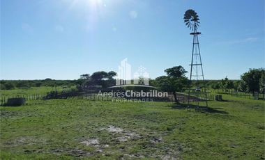 Excelente Campo Ganadero, Camino Rural A 30 Km. De Federal