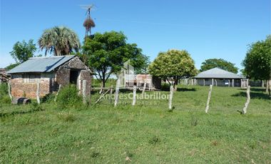 Excelente Campo Ganadero, Camino Rural A 30 Km. De Federal