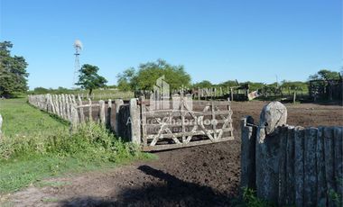 Excelente Campo Ganadero, Camino Rural A 30 Km. De Federal