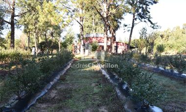 Excelente propiedad con gran potencial productivo y residencial